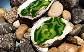 11da0bb5 267b 4efe b06d 5b6192154a9e