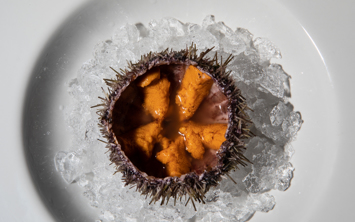 1446852f a535 4f75 9376 e5bb9cc1e061