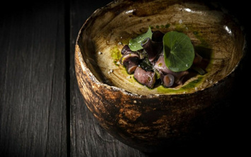 3599a040 0a67 41dd 9f1b e7cec23984e6