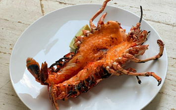 5d435273 1971 4256 b056 ca1f963c49b2