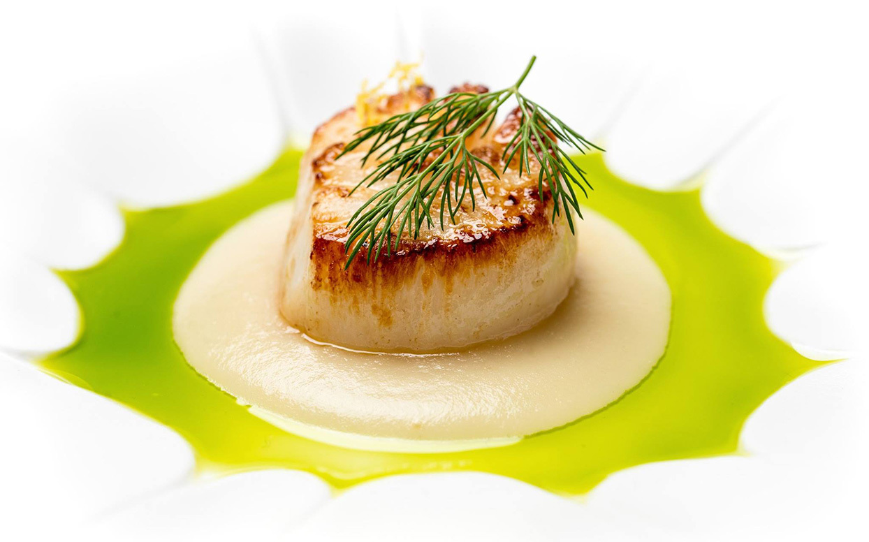 6e8d3d09 46c1 4626 8405 025cc0adbdca