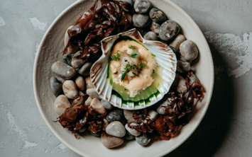 8218de55 2dc3 4f8e 8416 a73e4f45fb79