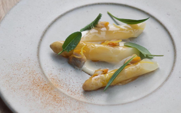 9abd03b2 8c1e 44cf 8cf9 9b88c6056279