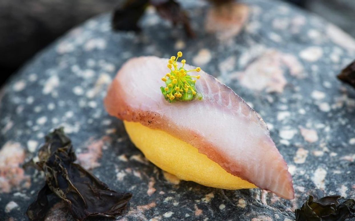 a00e29cb 6868 4cee 9eb4 e8d8017be3b4