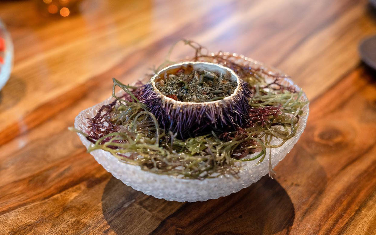 de5cf1e5 facc 40c7 89d9 d30b997b2940